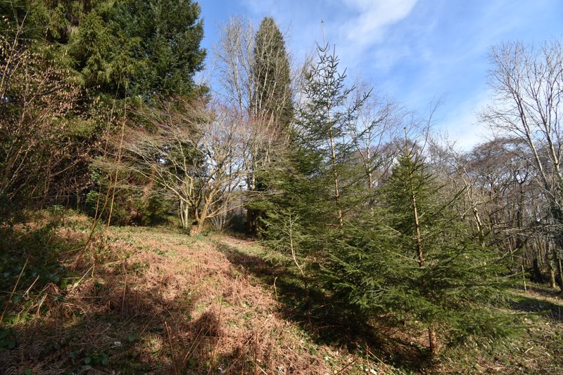 Land- click for photo gallery